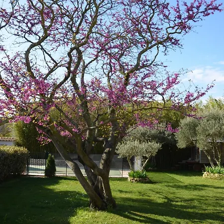 Prázdninový dům Les Treilles De Provence, Le Muscat