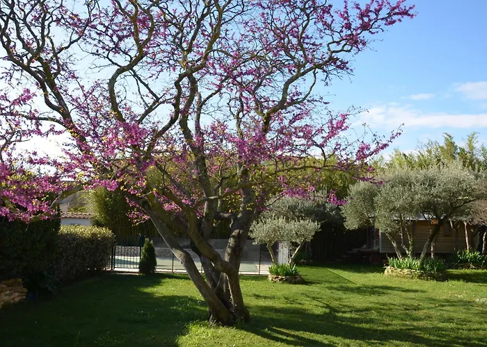 Σπίτι διακοπών Les Treilles De Provence, Le Muscat